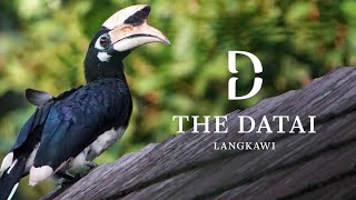 The Datai Langkawi  Arrival Rainforest Villa Room Tour and More [upl. by Marteena686]