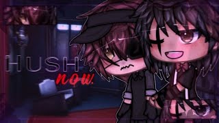 Hush Now  Glmm Gay FR [upl. by Felizio]