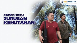 Prospek Kerja Kuliah Jurusan Kehutanan [upl. by Bj]