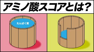 アミノ酸スコア100の食材とアミノ酸の桶理論を解説【ビーレジェンド プロテイン】 [upl. by Zellner]