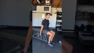 Seated DB Bicep Curl [upl. by Susej]