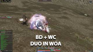 Lineage 2  BDWC DUO WOA  Elmorelab Teon x1 C4 [upl. by Airdnax]