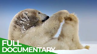 Gates of the Arctic  Americas Most Remote National Park  Free Documentary Nature [upl. by Rhodie]