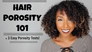 Hair Porosity 101 amp 3 Easy Hair Porosity Tests  BiancaReneeToday [upl. by Einahpats781]