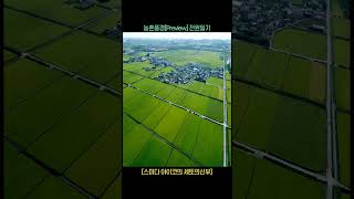 농촌풍경경기도2024 shorts drone dji 전원일기 스미다이이코 세토의신부 [upl. by Wade]