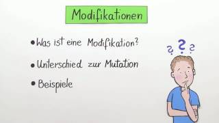 MODIFIKATIONEN  DIE UMWELT BEEINFLUSST DEN PHÄNOTYP  Biologie  Evolutionsbiologie [upl. by Trager]