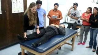 PNF Strengthening D1 and D2 Lower Extremity Flexion and Extension [upl. by Chaim]