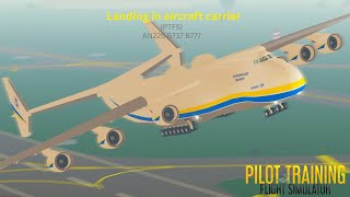 landing In Aircraft Carrier ROBLOX PTFS [upl. by Enilesoj285]