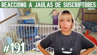 REACCIONO a JAULAS para CUYOS 😃 ¡De mis suscriptores [upl. by Oigroig]