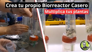 Construye tu propio Biorreactor casero paso a paso Propagación de tomillo in vitro [upl. by Diskson529]