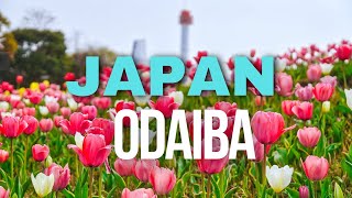 ODAIBA JAPAN WALK TOUR 4K [upl. by Idnar]