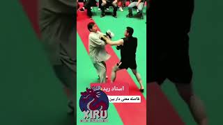 Mestre de kungfusão e grão mestre um finjutsu oss mma meme [upl. by Pol185]