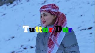 Tuttur Dur  Slowed and Reverb lofi Song 2023A New Arabic Remix Song 2023 [upl. by Deehahs529]