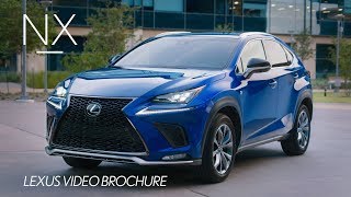 The 2019 Lexus NX Walk Around Video [upl. by Anilatsyrc656]