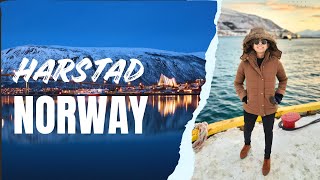 Harstad  Norway  Tromso Cruise [upl. by Aienahs]