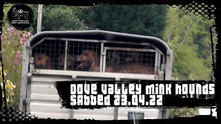 Dove Valley Mink Hounds SABBED 230422 [upl. by Aimal]