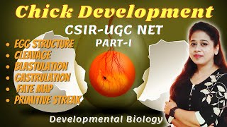 Chick Development Part1 Egg Structure  Cleavage  Blastulation  Gastrulation  Primitive Streak [upl. by Nylaehs]