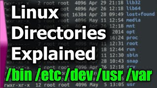 Linux File SystemStructure Explained [upl. by Yxel]