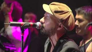 Shantel amp The Bucovina Club Orkestar Live  Disko Boy  Sziget 2012 [upl. by Adiv]