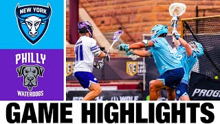 New York Atlas vs Philadelphia Waterdogs Highlights  2024 Premier Lacrosse League [upl. by Ardnusal614]