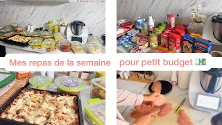 ORGANISATION  repas de la semaine petit budget 💶 Batch cooking [upl. by Renelle]