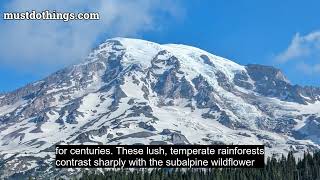 Mount Rainier National Park [upl. by Cavil]