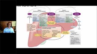 Detoxification In Clinical Practice Phase 1 vs Phase 2 [upl. by Ailb]