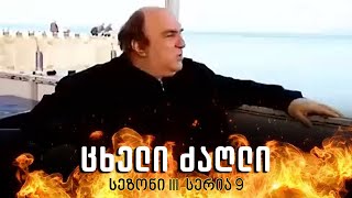 ცხელი ძაღლი  სეზონი 3 სერია 9 [upl. by Aelegna]