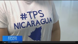 Calls in South Florida grow for TPS status for Nicaraguans [upl. by Glenine155]