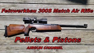 The Feinwerkbau 300S Match Air Rifle [upl. by Kissner287]