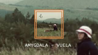 VUELA  AMYGDALA [upl. by Steddman738]