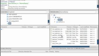FileZilla SFTP Demonstration [upl. by Jesh]