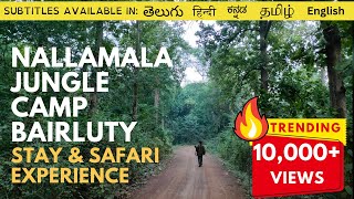 Nallamala Jungle Camp Bairluty  Amazing Nallamala Jungle Safari amp Stay Experience  With Subtitles [upl. by Hniht149]