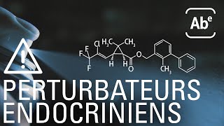 Perturbateurs endocriniens les enfants contaminés ABERTS [upl. by Eixela]