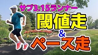 サブ315ランナー 閾値走＆ペース走 で現状把握してみた ｜ Threshold and marathon pace running Sub 315 runner [upl. by Ayotahc842]