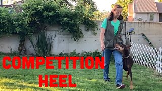 How to Train Your Dog for Better Heeling Scores [upl. by Merralee767]