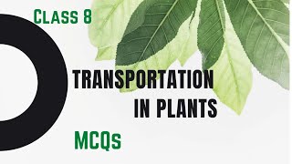 ICSE Biology  Class 8  Tranportation in Plants  Chapter 1  MCQs [upl. by Krys]