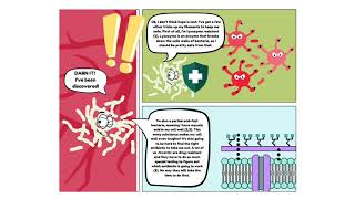 Term Project  Nocardia Melissa Tanguay [upl. by Rey]