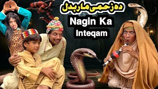 Nagin Ka Inteqam Da Zahme Maar Badal  New Funny Video 2024 by Tuti Gull Vines [upl. by Eelrehpotsirhc]