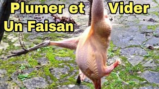 Comment Plumer et Vider un Faisan [upl. by Shevlo]