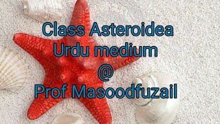 Class Asteroidea urduHindi Medium profmasoodfuzail classasteroidea echinodermata seastars [upl. by Innavoig]