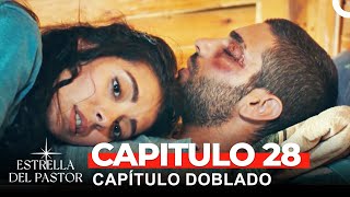 Estrella Del Pastor Capítulo 28 Doblado en Español [upl. by Eydnarb]