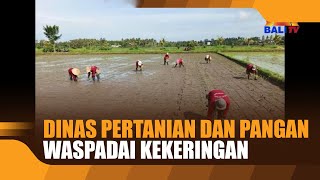 DINAS PERTANIAN DAN PANGAN WASPADAI KEKERINGAN [upl. by Ocsecnarf]