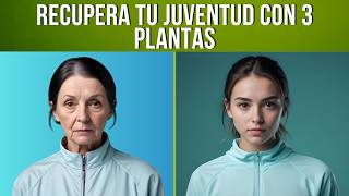 🥬 3 PLANTAS de la Juventud que te dan COLÁGENO y FAVORECEN tu PIEL [upl. by Benzel]