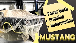 Power Washing Prepping Undercoating Mustang For Beginners And How You Can Do It [upl. by Yerffej]