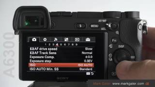 Sony A6300 Custom Settings Tutorial [upl. by Sinnard957]