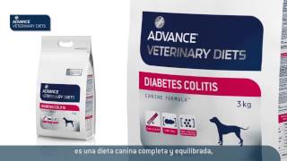 ADVANCE Veterinary Diets Diabetes Colitis Canine [upl. by Tnahsarp]