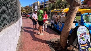 Tenerife  TUK TUK At Fanabe Have You Travelled Around In One Of These [upl. by Ariahaj]