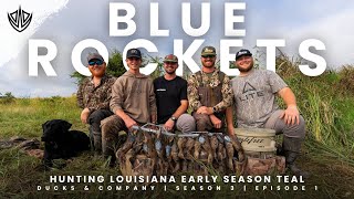 Teal Hunting The Louisiana Rice Fields  Early Season Blue Wing Teal [upl. by Attenahs33]