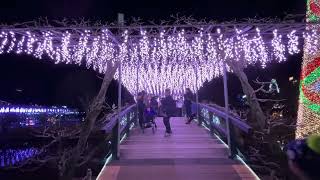 Ashikaga Flower Park Illumination [upl. by Otrebogad286]